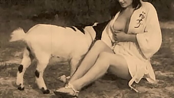 Vintage Taboo: Big Natural Tits And Hairy Pussy With A Happy Ending